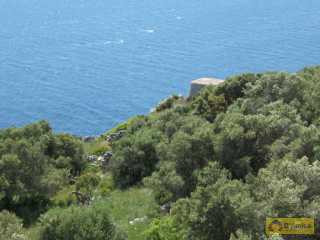 foto immobile Terreno a Santa Maria di Leuca con 33 pajare (trulli) a picco sul mare  n. 2