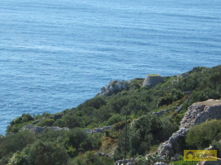 foto immobile Terreno a Santa Maria di Leuca con 33 pajare (trulli) a picco sul mare  n. 4