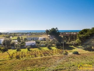 foto immobile Progetto per villa vista mare, a 800 metri dalla spiaggia di Pescoluse  n. 14