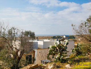 foto immobile Villa con Piscina Vista Mare con meraviglioso giardino, a Pescoluse n. 23