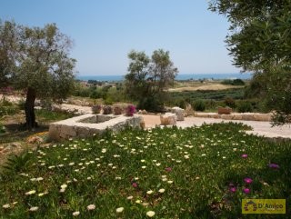 foto immobile Villa con Piscina Vista Mare con meraviglioso giardino, a Pescoluse n. 15