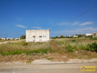 foto immobile Lotti di terreno edificabili con Ville vista mare a Pescoluse  n. 21