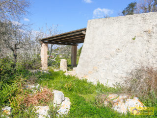 foto immobile Terreno edificabile Villa con Piscina in Salento vicino al mare n. 15