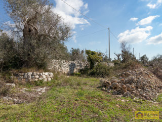 foto immobile Terreno con Lamione e progetto per Villa con Piscina a 5 km da Pescoluse n. 29