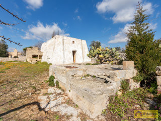 foto immobile Terreno con Lamione e progetto per Villa con Piscina a 5 km da Pescoluse n. 14