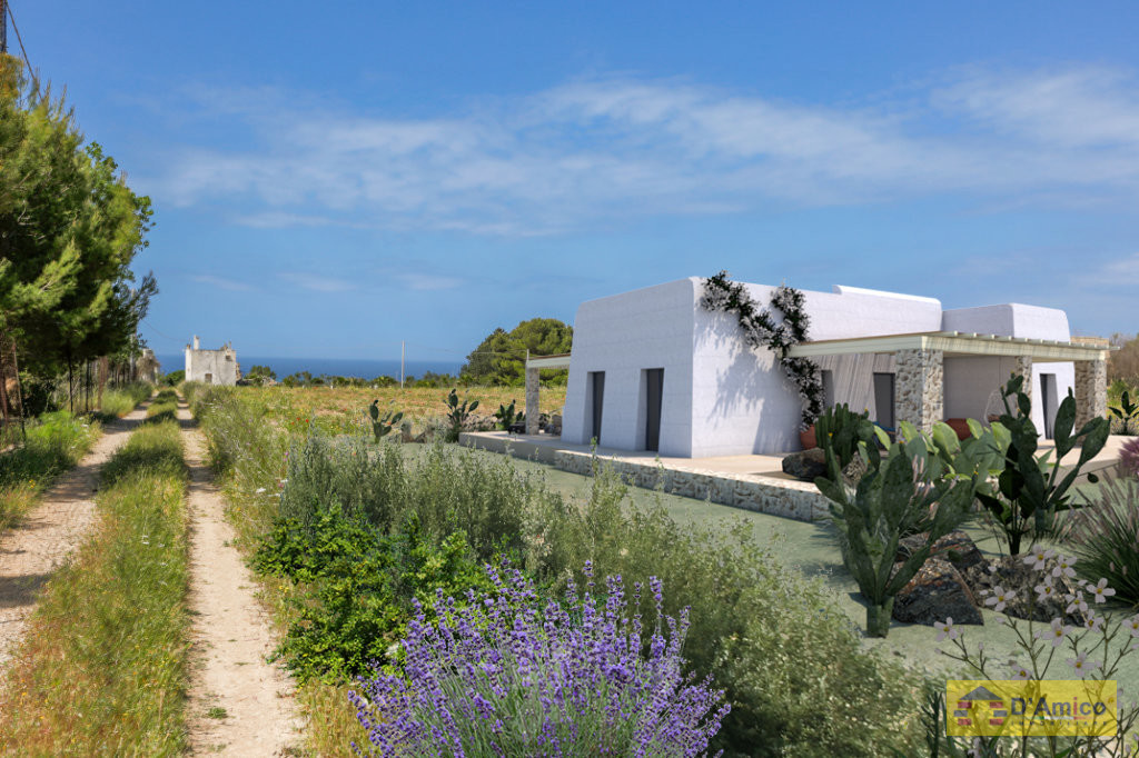 foto immobile Terreno vista mare con fabbricato rurale e progetto per Villa a Pescoluse n. 9