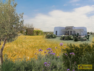 foto immobile Terreno vista mare con fabbricato rurale e progetto per Villa a Pescoluse n. 3