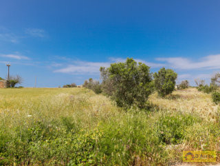 foto immobile Terreno vista mare con fabbricato rurale e progetto per Villa a Pescoluse n. 37
