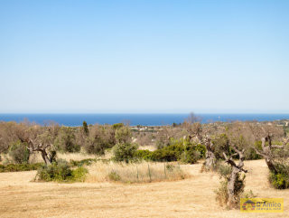 foto immobile Villa e Piscina vista mare, da realizzare chiavi in mano, a 4 km dalla spiaggia n. 19