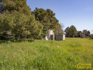 foto immobile Terreno per Villa con Piscina vista mare con 2 fabbricati rurali, a 4km da Pescoluse n. 39