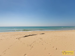 foto immobile Terreno fronte spiaggia per Stabilimento Balneare a Pescoluse n. 7