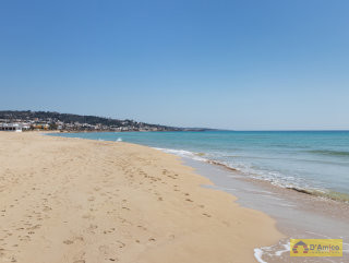 foto immobile Terreno fronte spiaggia per Stabilimento Balneare a Pescoluse n. 10