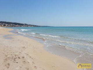 foto immobile Terreno fronte spiaggia per Stabilimento Balneare a Pescoluse n. 12