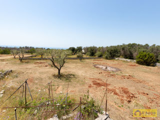 foto immobile Terreno vista mare  con PAJARA e progetto per Villa con Piscina n. 30