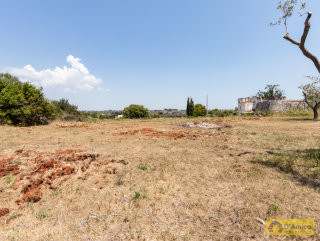 foto immobile Terreno vista mare  con PAJARA e progetto per Villa con Piscina n. 43