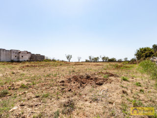 foto immobile Terreno vista mare  con PAJARA e progetto per Villa con Piscina n. 37