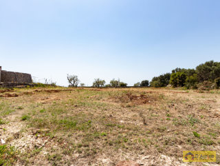 foto immobile Terreno vista mare  con PAJARA e progetto per Villa con Piscina n. 40