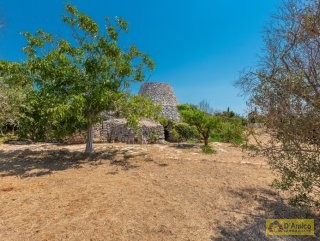 foto immobile Villa salentina vista mare con Pajara a Pescoluse n. 56