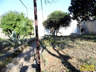 foto immobile Villa Antica con giardino  a Morciano di Leuca  n. 16