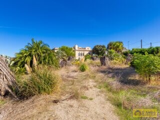 foto immobile Tipica Villa SALENTINA a 1 km dal mare di Porto Selvaggio n. 9