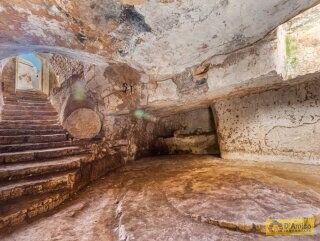 foto immobile Antica Masseria a Ostuni con uliveti secolari n. 34