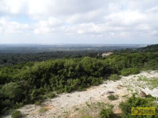 foto immobile Villa in stile Neoclassico, da completare, con Piscina ed area Spa n. 16