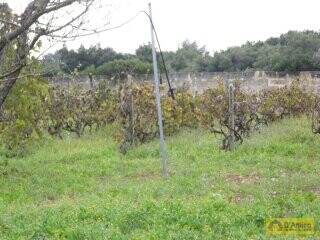 foto immobile Villa in stile Neoclassico, da completare, con Piscina ed area Spa n. 19