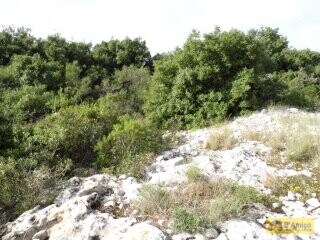 foto immobile Villa in stile Neoclassico, da completare, con Piscina ed area Spa n. 20