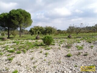 foto immobile Villa in stile Neoclassico, da completare, con Piscina ed area Spa n. 15