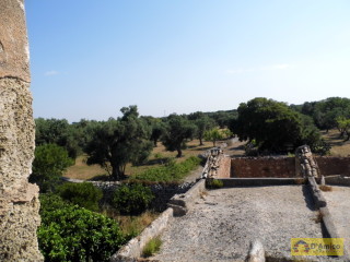 foto immobile Antica Masseria del 1670 in ottime condizioni, a Salve n. 27