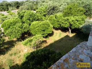 foto immobile Antica Masseria del 1670 in ottime condizioni, a Salve n. 36