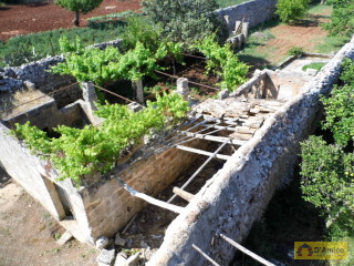 foto immobile Antica Masseria del 1670 in ottime condizioni, a Salve n. 44