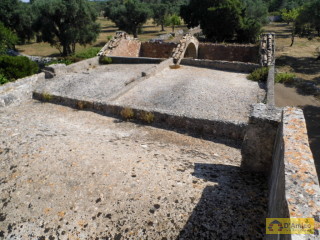 foto immobile Antica Masseria del 1670 in ottime condizioni, a Salve n. 47