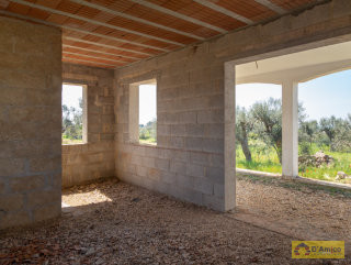 foto immobile Rustico Villa vista mare a Pescoluse con Piscina, da completare  n. 35