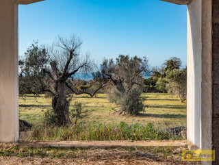 foto immobile Rustico Villa vista mare a Pescoluse con Piscina, da completare  n. 45