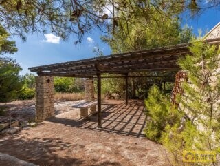 foto immobile 2 Ville in pietra a 500 metri dal mare di Pescoluse, in Salento n. 11