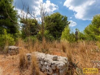 foto immobile 2 Ville in pietra a 500 metri dal mare di Pescoluse, in Salento n. 35