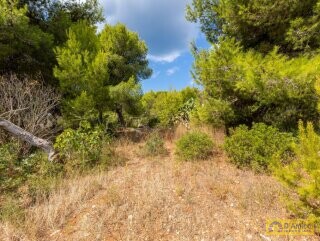 foto immobile 2 Ville in pietra a 500 metri dal mare di Pescoluse, in Salento n. 36
