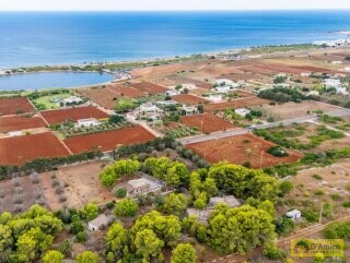 foto immobile 2 Ville in pietra a 500 metri dal mare di Pescoluse, in Salento n. 52