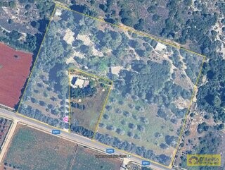 foto immobile 2 Ville in pietra a 500 metri dal mare di Pescoluse, in Salento n. 53