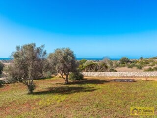 foto immobile Villa vista mare con progetto approvato per Piscina a Torre Mozza  n. 15