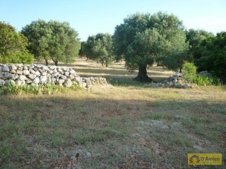 foto immobile Terreno con ulivi, a 4 km dal mare, per costruire Villa con Piscina  n. 5