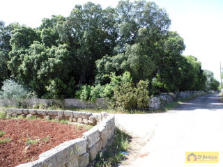 foto immobile Terreno edificabile di 19.299 mq per Villa di 192 mq con Piscina a Torre Vado  n. 2