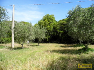 foto immobile Terreno edificabile di 19.299 mq per Villa di 192 mq con Piscina a Torre Vado  n. 5