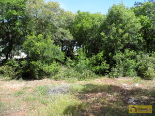 foto immobile Terreno edificabile di 19.299 mq per Villa di 192 mq con Piscina a Torre Vado  n. 6