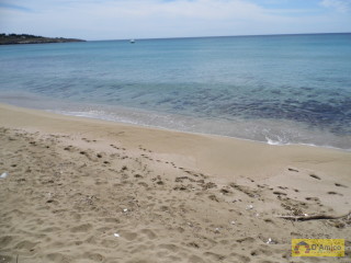 foto immobile Terreno edificabile di 19.299 mq per Villa di 192 mq con Piscina a Torre Vado  n. 13