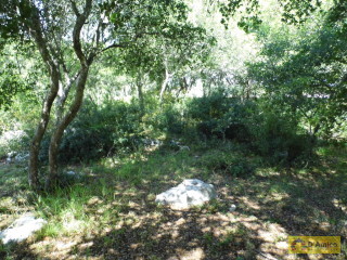 foto immobile Terreno edificabile di 19.299 mq per Villa di 192 mq con Piscina a Torre Vado  n. 10