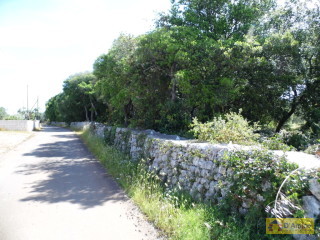 foto immobile Terreno edificabile di 19.299 mq per Villa di 192 mq con Piscina a Torre Vado  n. 12