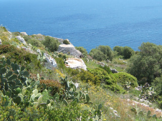 Land in Santa Maria di Leuca with 33 pajare (trulli) overlooking the sea 