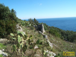 foto immobile Terreno a Santa Maria di Leuca con 33 pajare (trulli) a picco sul mare  n. 3